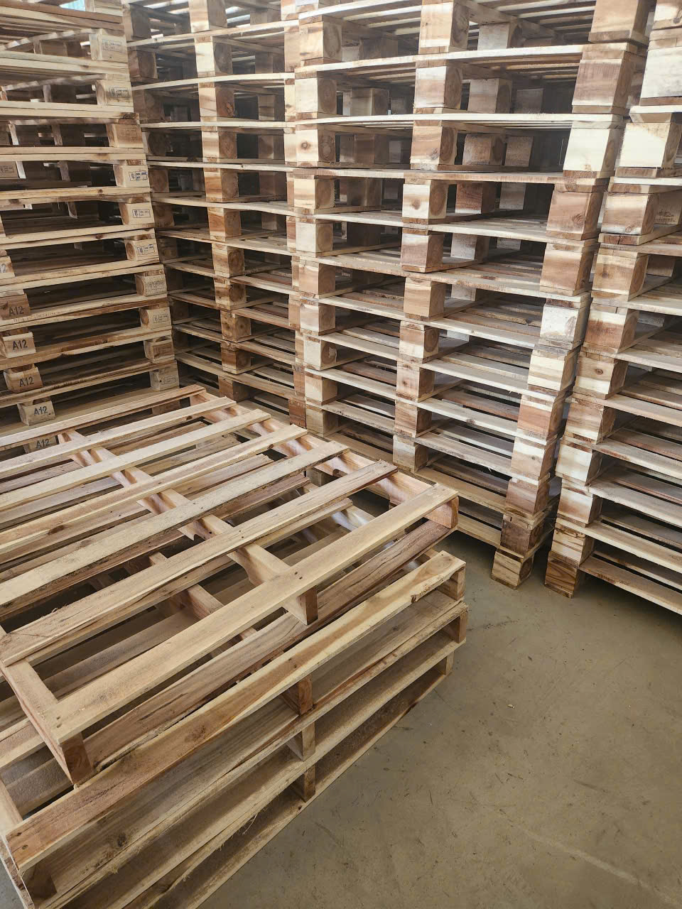 Cưa xẻ gỗ tràm (keo) - hình ảnh 6