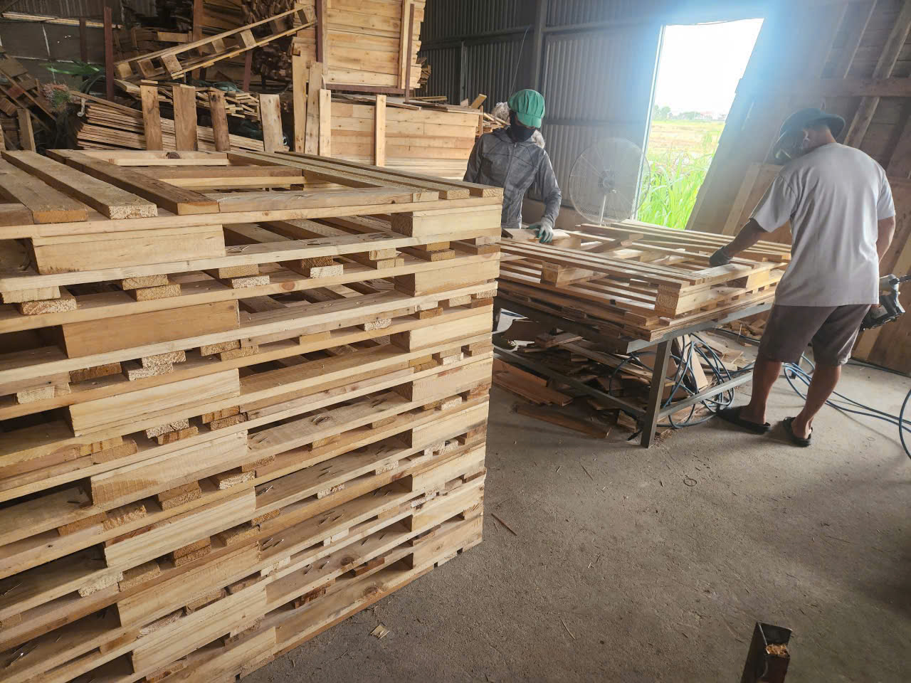 Kiểm tra và xếp pallet gỗ trước khi giao