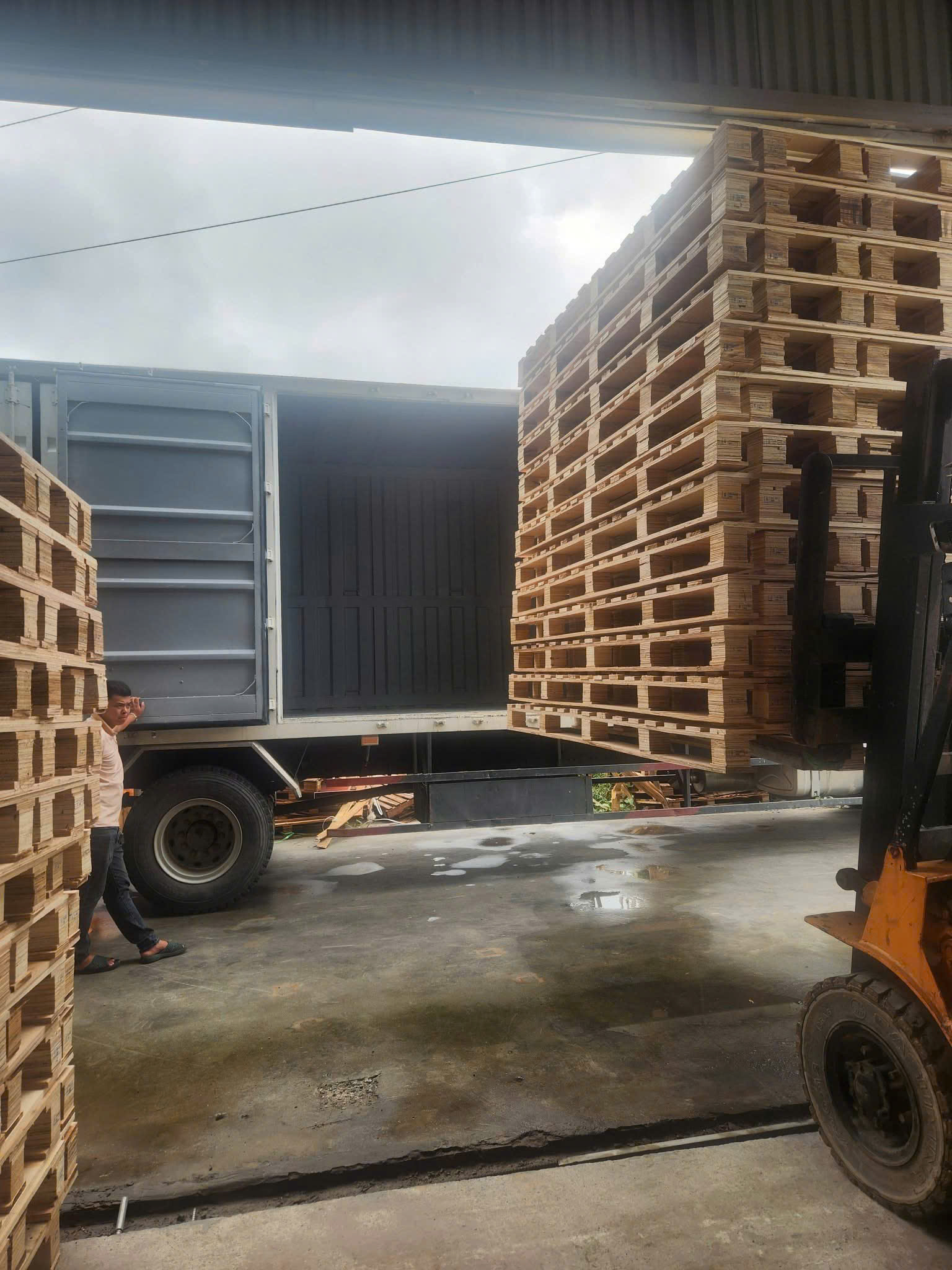 Gỗ nhập khẩu - hình ảnh 4